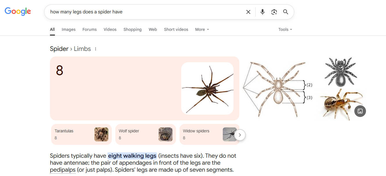 Google SERP是什么 – Google 结果页面的精选摘要插图6 Google SERP是什么 – Google 结果页面的精选摘要插图6